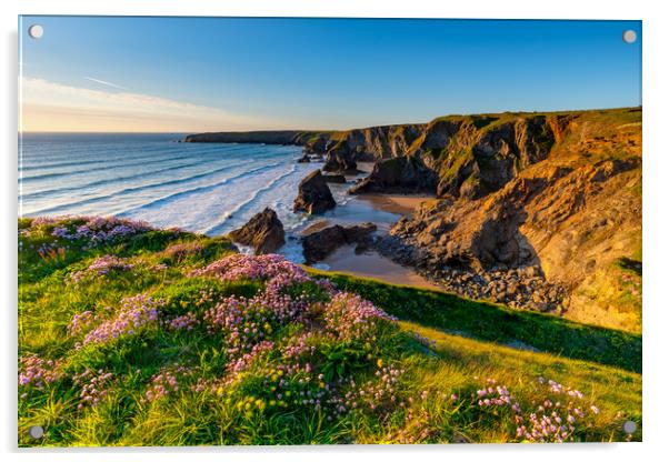 Bedruthan Steps Cornwall in Spring Acrylic by Michael Brookes