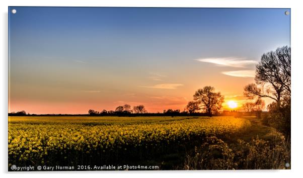 Spring Sunset Over the Rapeseed Field Acrylic by Gary Norman