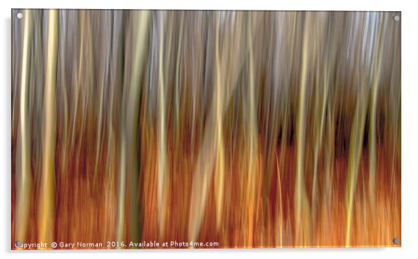 Blurred Trees Acrylic by Gary Norman