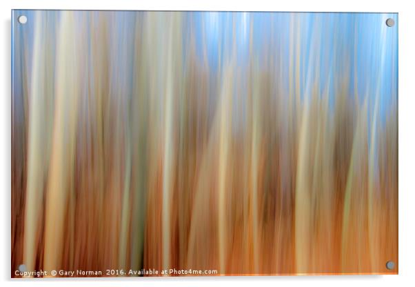 Blurred Trees Acrylic by Gary Norman