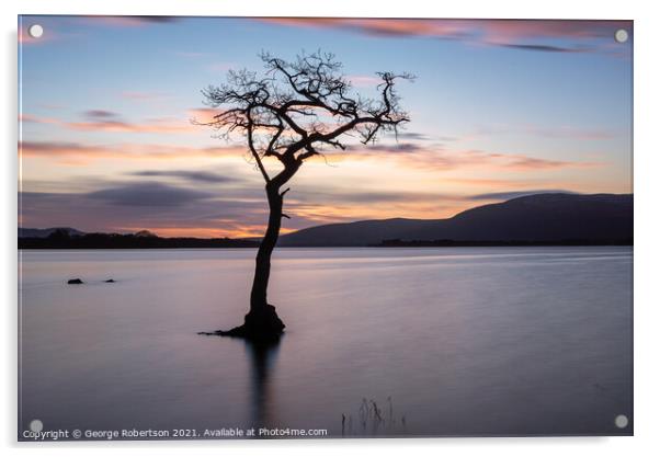 Lone Tree at Milarrochy Bay Loch Lomond Acrylic by George Robertson