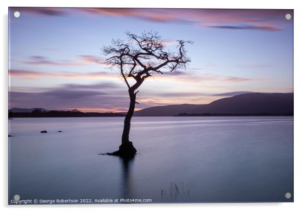 Lone Tree at Sunset, Loch Lomond Acrylic by George Robertson