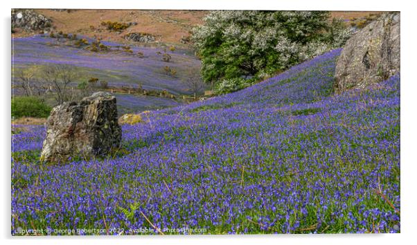 Early evening at Rannerdale Bluebells Acrylic by George Robertson