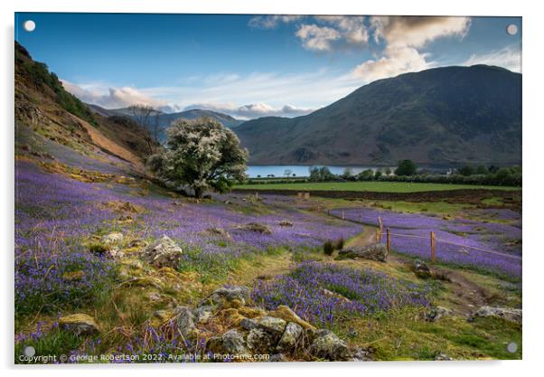 Crummock Water and Bluebells Acrylic by George Robertson