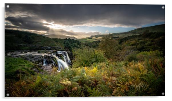 The Loup o Fintry in the Campsie Fells Acrylic by George Robertson