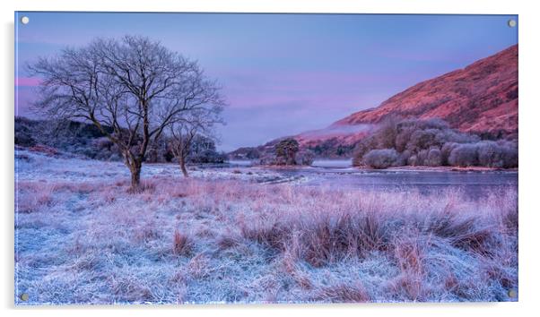 Frosty morning at Loch Awe Acrylic by George Robertson