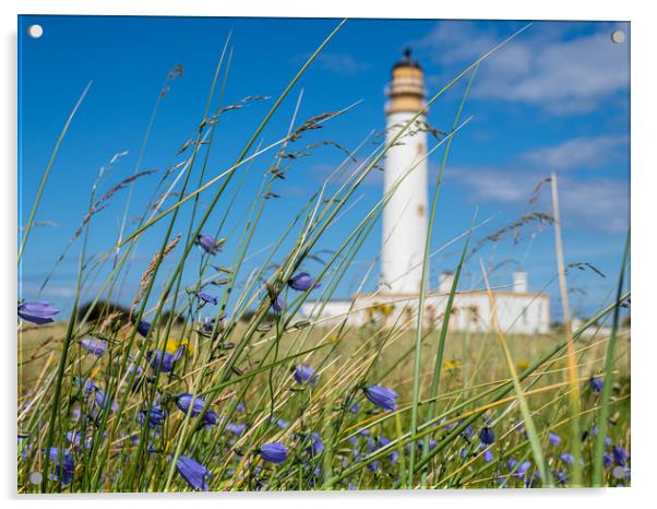Looking through the wild flowers to Barns Ness Lig Acrylic by George Robertson