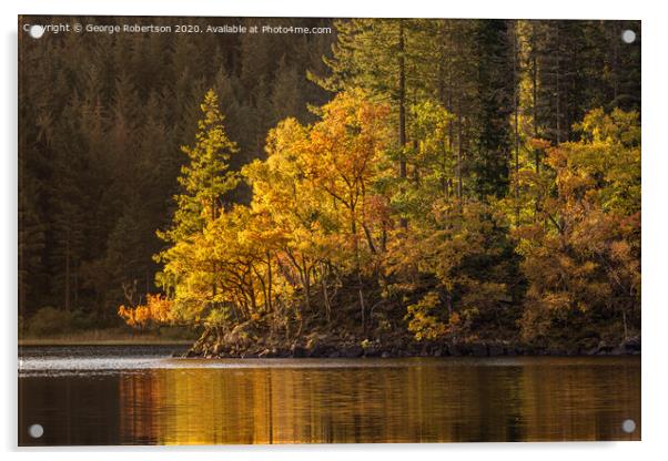 Autumn gold at Loch Ard Acrylic by George Robertson