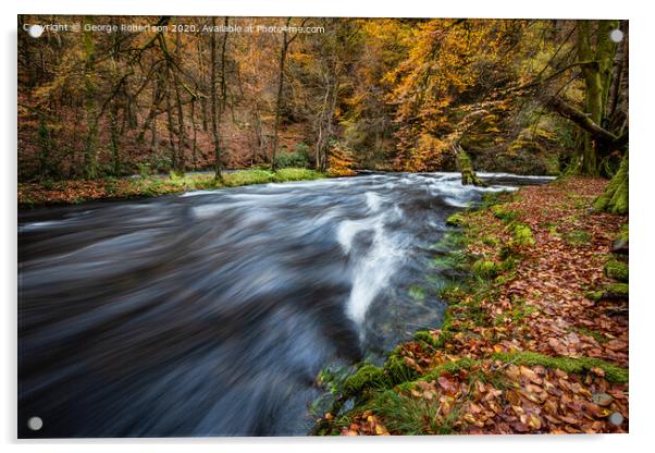 Autumn at Achray Water in the Trossachs Acrylic by George Robertson