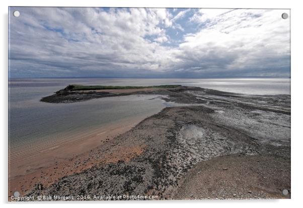 Sully Island Acrylic by Bob Morgans