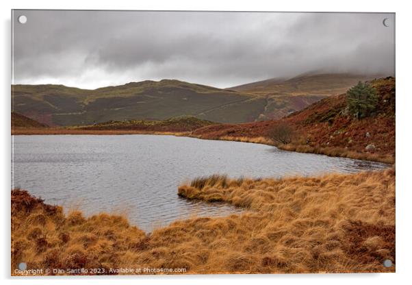 Llyn Barfog (The Bearded Lake), Snowdonia Acrylic by Dan Santillo