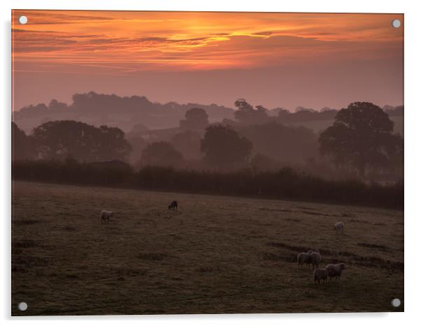 Devon Misty Morning Acrylic by Jon Rendle