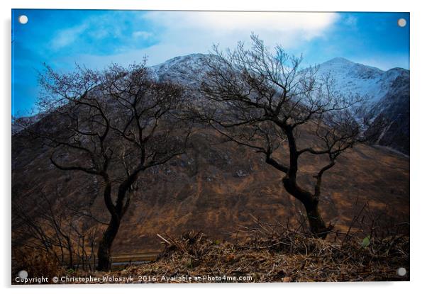 Trees over Glen etive Acrylic by Christopher Woloszyk