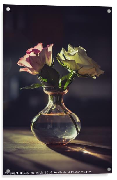 Still Life Roses Acrylic by Sara Melhuish