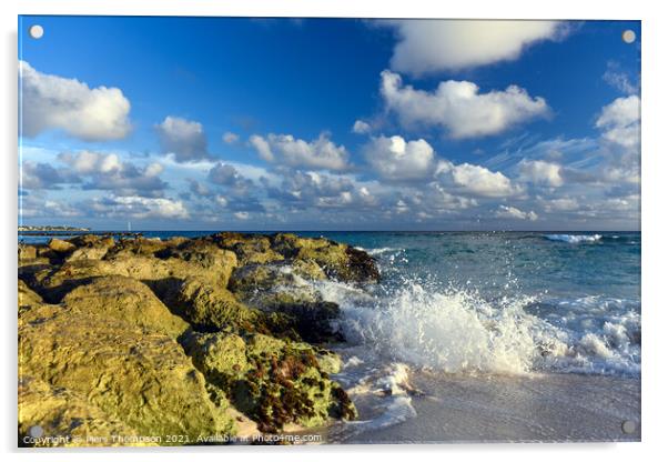 Dover Beach in Barbados Acrylic by Piers Thompson