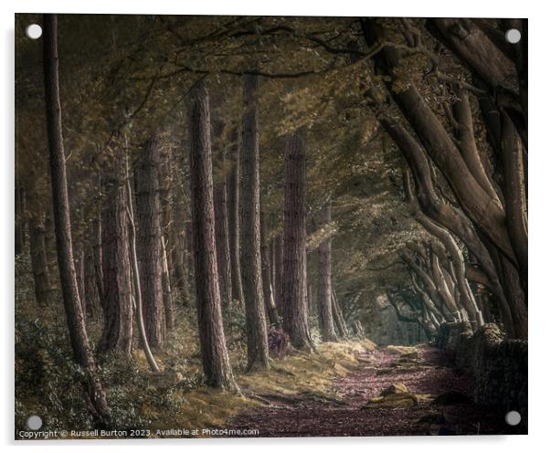 Upper Moor with the beech and pine trees Acrylic by Russell Burton