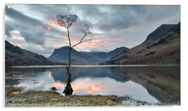 Lone tree at Buttermere Acrylic by Russell Burton