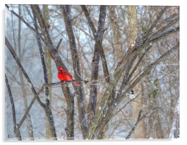 Cardinal and Chickadee Acrylic by Frankie Cat