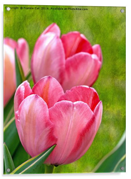 Pink Tulips Acrylic by Frankie Cat
