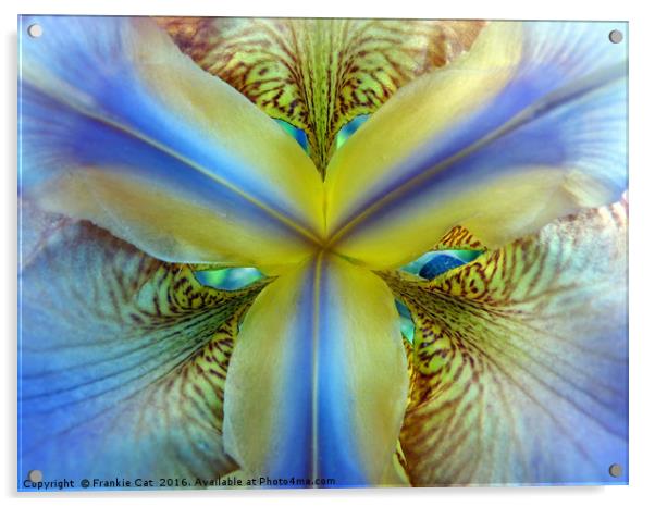 Inside of an Iris Acrylic by Frankie Cat