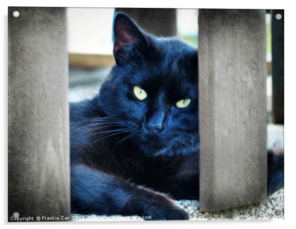 Little Black Kitty Acrylic by Frankie Cat