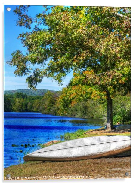 Shepherd Mountain Lake with Canoe  Acrylic by Frankie Cat