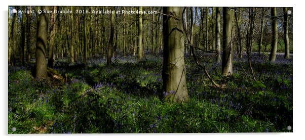 The Bluebells in Dukes Wood                        Acrylic by Susan Cosier