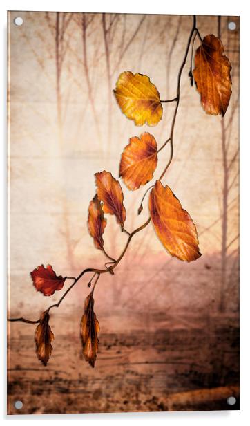 Autumn melody  Acrylic by Dagmar Giers