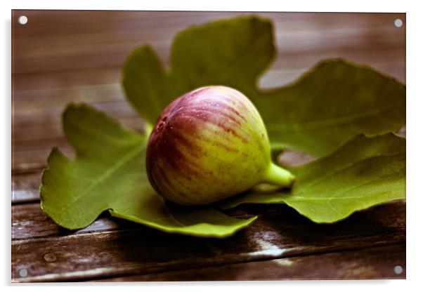 Honeyed figs  Acrylic by Dagmar Giers