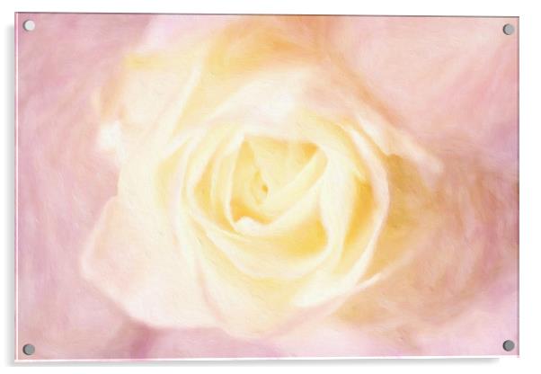 white rose Acrylic by Dagmar Giers