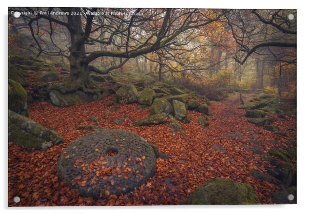 Padley Gorge Millstone Acrylic by Paul Andrews