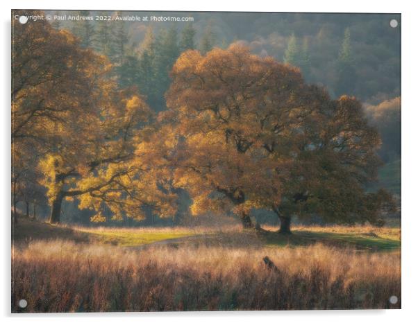 Brathay Gold Acrylic by Paul Andrews