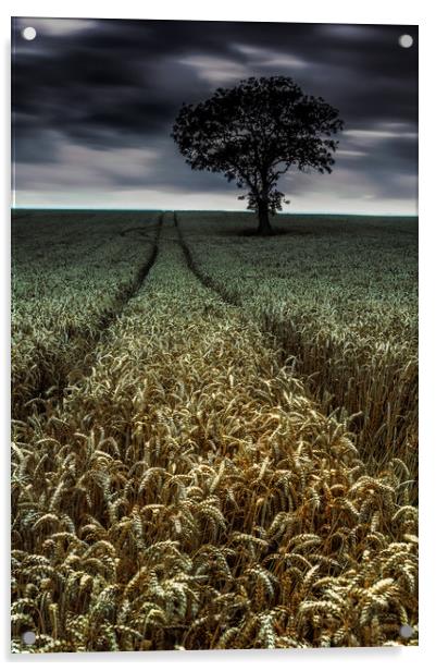 The Wheatfield Acrylic by Paul Andrews