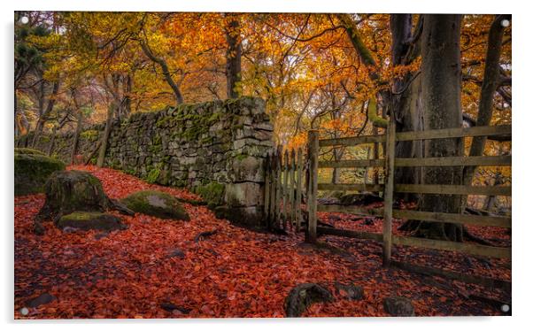 Autumn Gold at Padley Gorge Acrylic by Paul Andrews