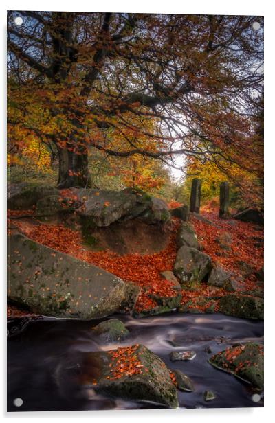 Autumn in Padley Gorge Acrylic by Paul Andrews