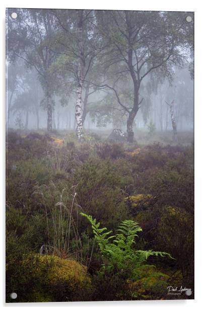 Gardom's Misty Birch Acrylic by Paul Andrews