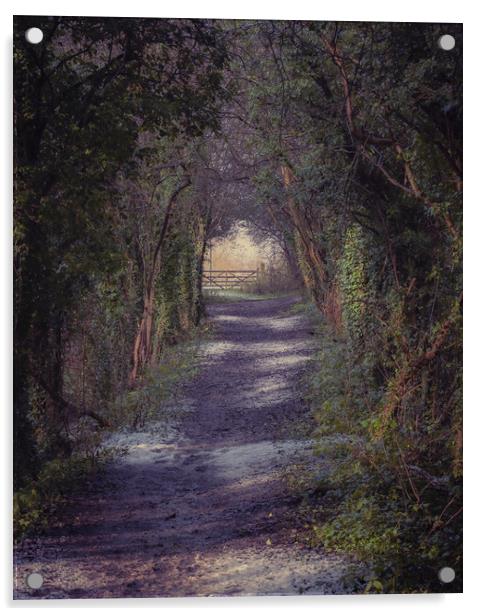 Woodland Path Acrylic by Paul Andrews