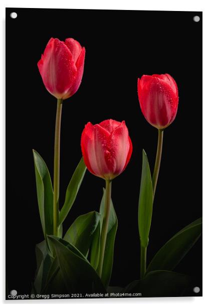 Red Tulips Acrylic by Gregg Simpson