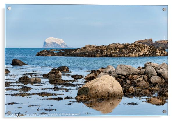 Bass Rock beyond the Rocks, North Berwick Acrylic by Kasia Design