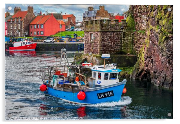Fishing Boat Leaving Historic Dunbar Harbour Acrylic by Kasia Design