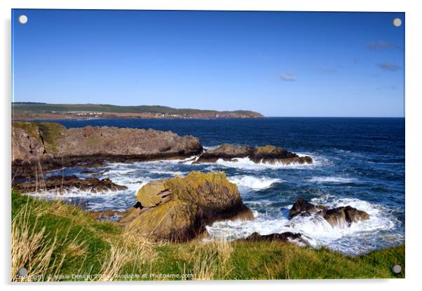 St Abbs Head from Eyemouth Acrylic by Kasia Design