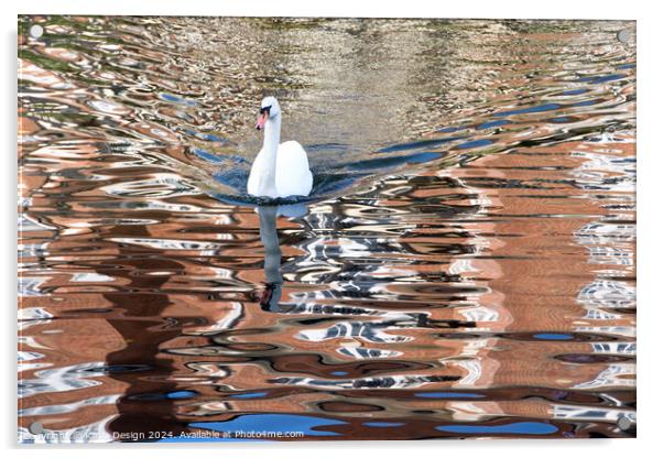 Swan River Reflections Acrylic by Kasia Design