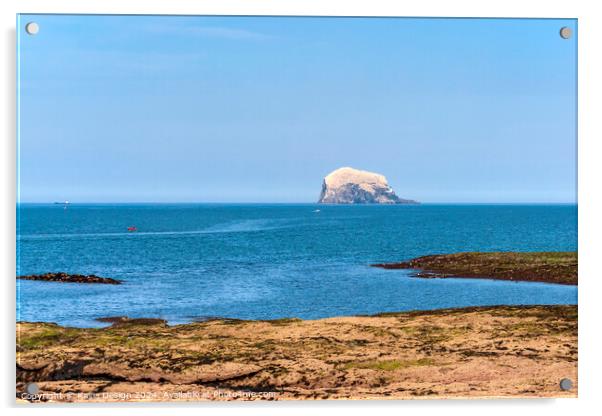 The Bass Rock in all its Magnificence Acrylic by Kasia Design