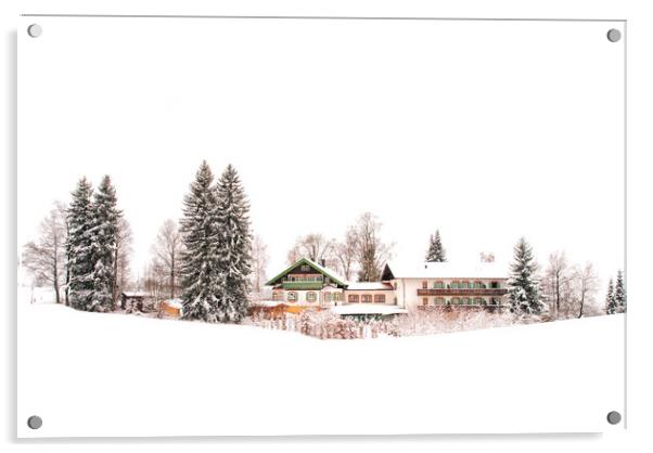 Alpine Winter Dream Acrylic by Kasia Design