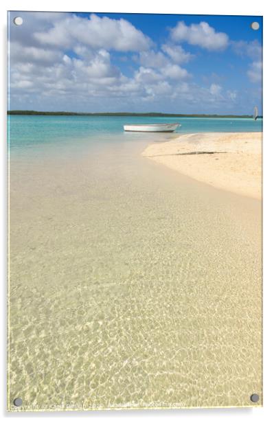 Caribbean Paradise, Bonaire Acrylic by Kasia Design