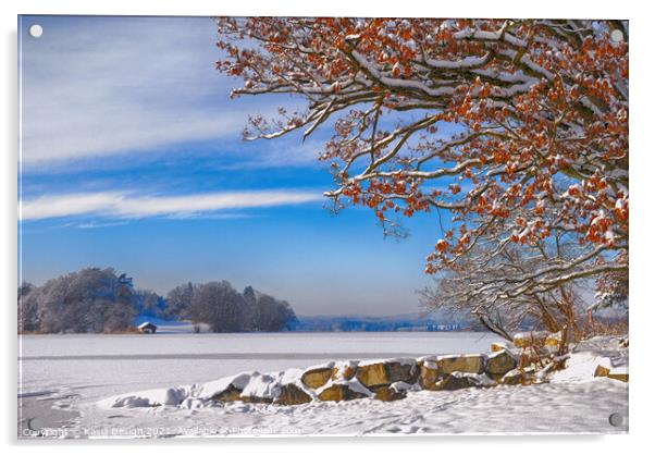 Frozen Lake Staffel, Bavaria, Germany Acrylic by Kasia Design