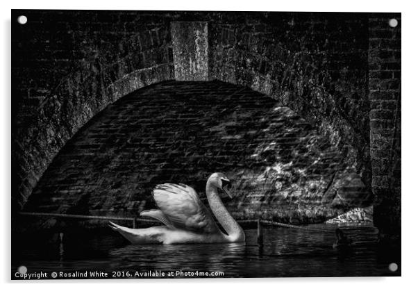 Swan Bridge Acrylic by Rosalind White