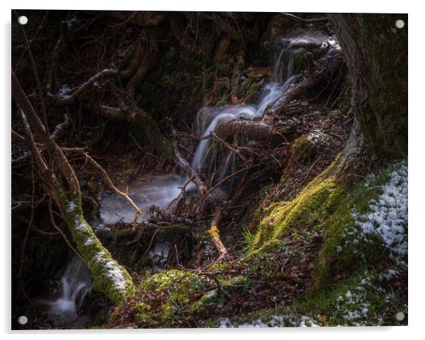 Spring Stream Acrylic by Clive Ashton