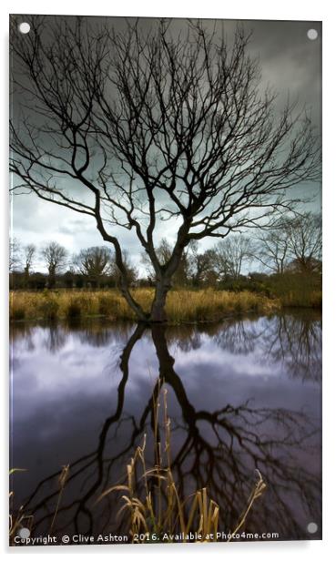 The Old Tree Acrylic by Clive Ashton