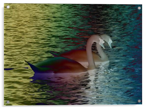 Rainbow Swans Acrylic by Martine Boer - Reid